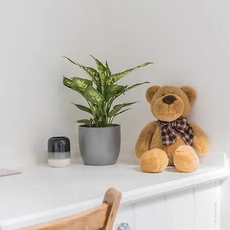 Byre Woodland Coniston * Torver