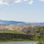 Byre Woodland Coniston * Torver